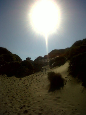 Patara>